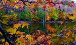Grigio autunno