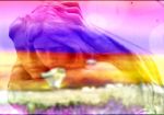 Lievit� d'albedo