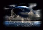 Mare in tempesta