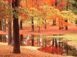 Nell�aspra carezza dell�autunno