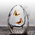 Spicchi d�ombra