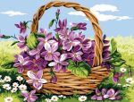 Tra la luce delle viole