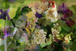 Come sogno d�amore