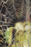 L�ultimo respiro