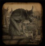 Notre Dame  