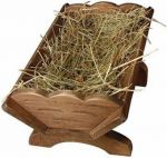 Caro Ges� bambino