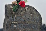 La perfida realt� della Follia