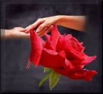 Eterno amore