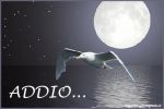 Il giorno dell�addio