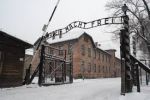 Il violino di Auschwitz