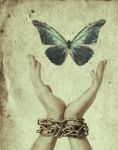 Libert� � poesia  
