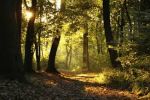 Finalmente potr� riposare
