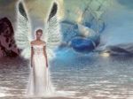 Dalla sua morte � rimasto il miele