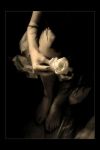 13 f�vrier