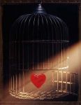 Libre  