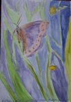 Les papillons  