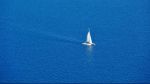 Il mare � una tavola blu