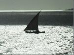 Come vela in mezzo al mare