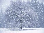 Guarda, fuori cade la neve