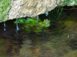 Come acqua di montagna  