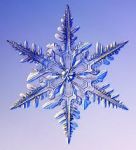 Fuori, cade la neve