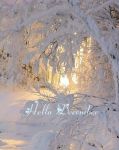 La boule de Neige