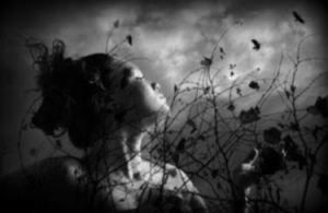 Loquace silenzio