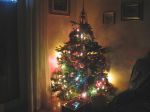L'albero di natale