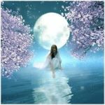 Raccoglier� di te