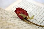 � L�incomprensibile, visibile�  