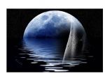 Controluce di luna  