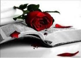 Un Amore Eterno