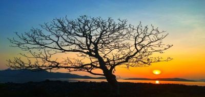 Al crepuscolo