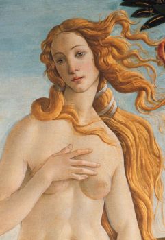 La bella donna