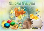Coelhinho Da P�scoa