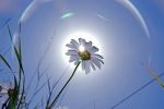 Acque di felicit�