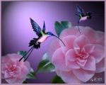 Lascia che sia cos�