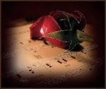 Quanto il Tuo Amore Silenzi�