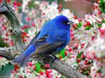 L�Avidit� dell�Uomo