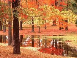 Autunno  