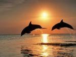 Sogno d'amore
