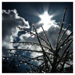 Il primo sole