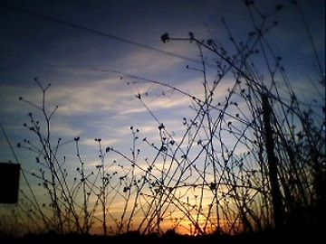 Nel mio momento (� sera)