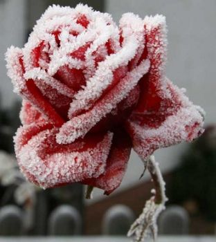 L'inverno pi� lungo