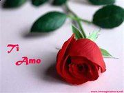 Dolce tristezza  
