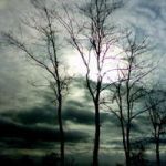 Autunno
