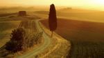 Ti narrer�
