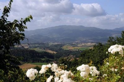 Dove l'amore incrocer� il nostro cammino