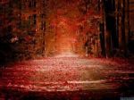 Ricordo d'autunno