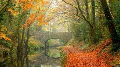 Sera d'autunno